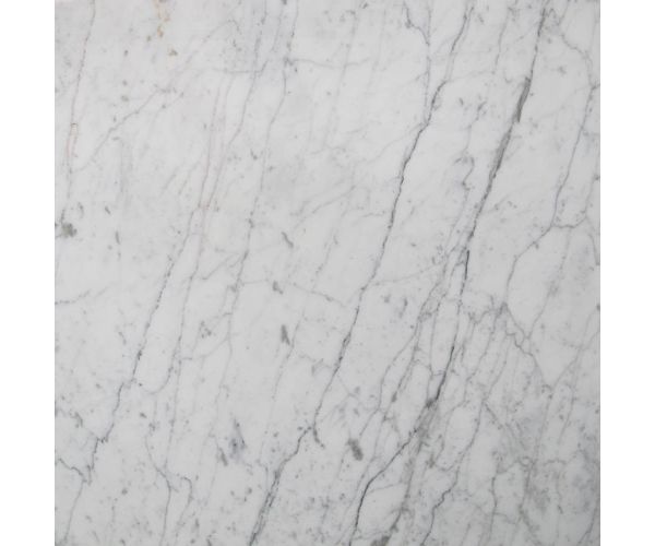 Tile - Stone & Other-24''x24'' Bianco Carrara Polished