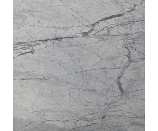 Tile - Stone & Other-24''x24'' Bianco Venatino Honed