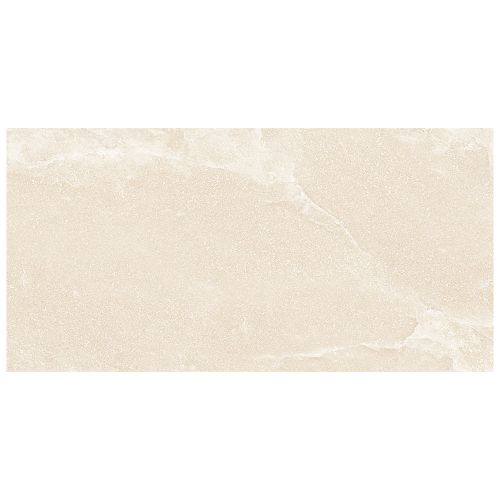 prosst244802p-001-tile-saltstone_pro-beige-sand dust_1594.jpg
