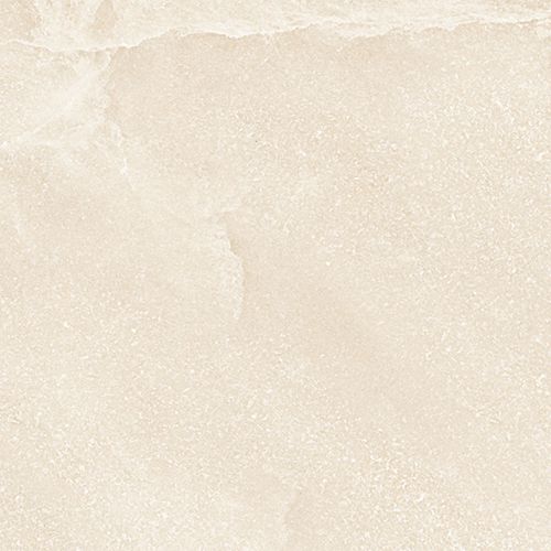 prosst24x02p-001-tile-saltstone_pro-beige-sand dust_1594.jpg