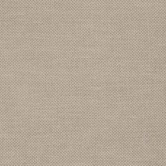 conrm24x03pd-001-tiles-room_con-taupe_greige.jpg