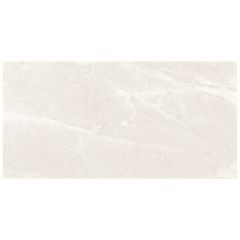 prosst244801pl-001-tile-saltstone_pro-white_offwhite-white pure_1597.jpg