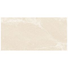 prosst244802p-001-tile-saltstone_pro-beige-sand dust_1594.jpg