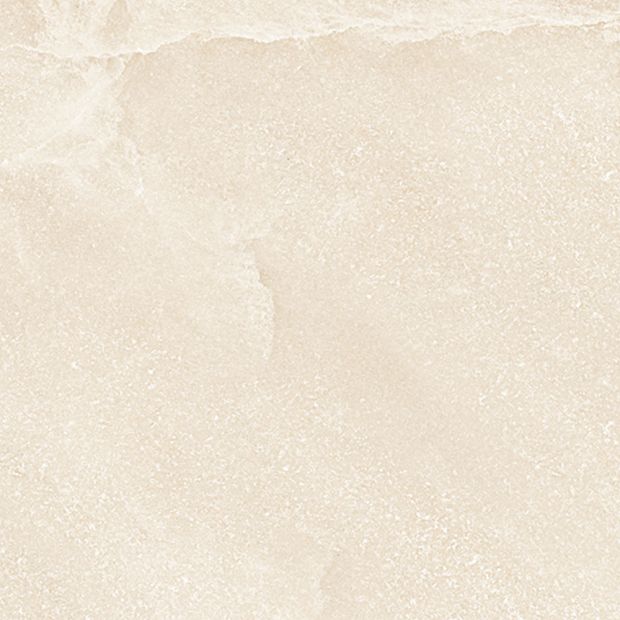 prosst24x02p-001-tile-saltstone_pro-beige-sand dust_1594.jpg