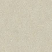 camby24x02p-001-tile-byo_cam-taupe_greige-sand_659.jpg